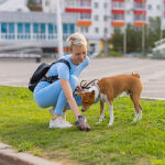 https://velizo.cz/termekkategoria/szepsegapolas-egeszseg/