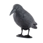 https://velizo.cz/termekkategoria/szepsegapolas-egeszseg/