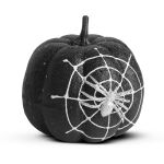 https://velizo.cz/termekkategoria/szepsegapolas-egeszseg/