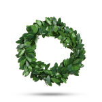 https://velizo.cz/termekkategoria/szepsegapolas-egeszseg/