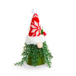 https://velizo.cz/termekkategoria/szepsegapolas-egeszseg/