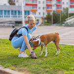 https://velizo.cz/termekkategoria/szepsegapolas-egeszseg/