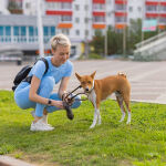https://velizo.cz/termekkategoria/szepsegapolas-egeszseg/
