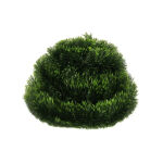 https://velizo.cz/termekkategoria/szepsegapolas-egeszseg/