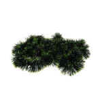 https://velizo.cz/termekkategoria/szepsegapolas-egeszseg/