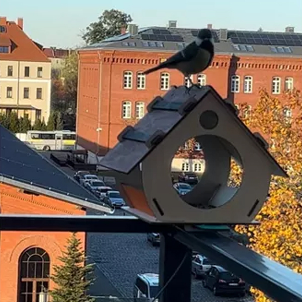 Festhető, díszíthető madáretető2 https://velizo.cz/termekkategoria/szepsegapolas-egeszseg/