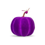 https://velizo.cz/termekkategoria/szepsegapolas-egeszseg/