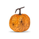 https://velizo.cz/termekkategoria/szepsegapolas-egeszseg/