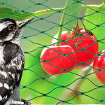 https://velizo.cz/termekkategoria/szepsegapolas-egeszseg/