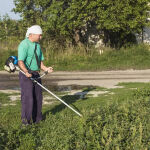 https://velizo.cz/termekkategoria/szepsegapolas-egeszseg/