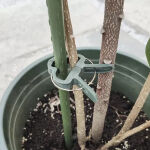 https://velizo.cz/termekkategoria/szepsegapolas-egeszseg/