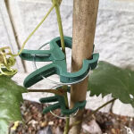 https://velizo.cz/termekkategoria/szepsegapolas-egeszseg/