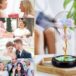 https://velizo.cz/termekkategoria/szepsegapolas-egeszseg/