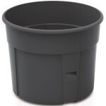 https://velizo.cz/termekkategoria/szepsegapolas-egeszseg/
