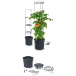 https://velizo.cz/termekkategoria/szepsegapolas-egeszseg/