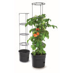 https://velizo.cz/termekkategoria/szepsegapolas-egeszseg/