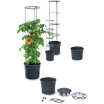 https://velizo.cz/termekkategoria/szepsegapolas-egeszseg/