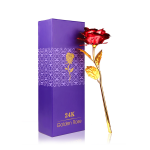https://velizo.cz/termekkategoria/szepsegapolas-egeszseg/