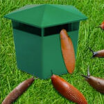 https://velizo.cz/termekkategoria/szepsegapolas-egeszseg/