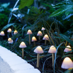 https://velizo.cz/termekkategoria/szepsegapolas-egeszseg/