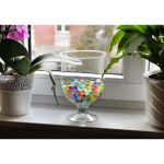 https://velizo.cz/termekkategoria/szepsegapolas-egeszseg/